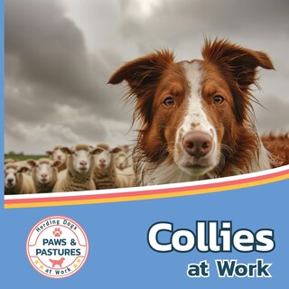 Couverture_Collies at Work