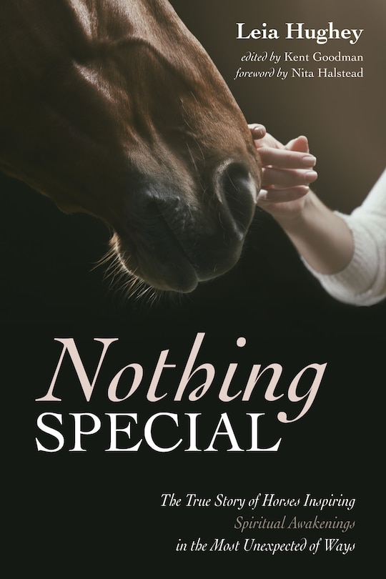 Front cover_Nothing Special
