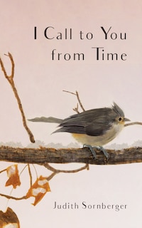 Front cover_I Call To You From Time