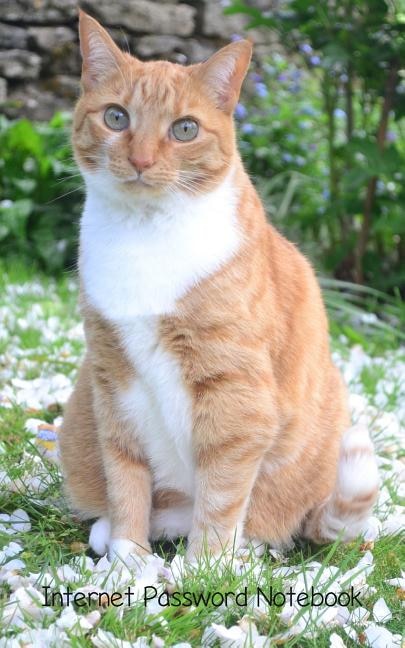 Internet Password Notebook: Useful Notebook For Cat Lovers / Store Internet Addresses, Passwords, User Names And Pins