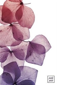 Purple Petals: 200-page Blank Writing Journal With Colourful Pictures of Flower Petals on the Cover (6 x 9 Inches