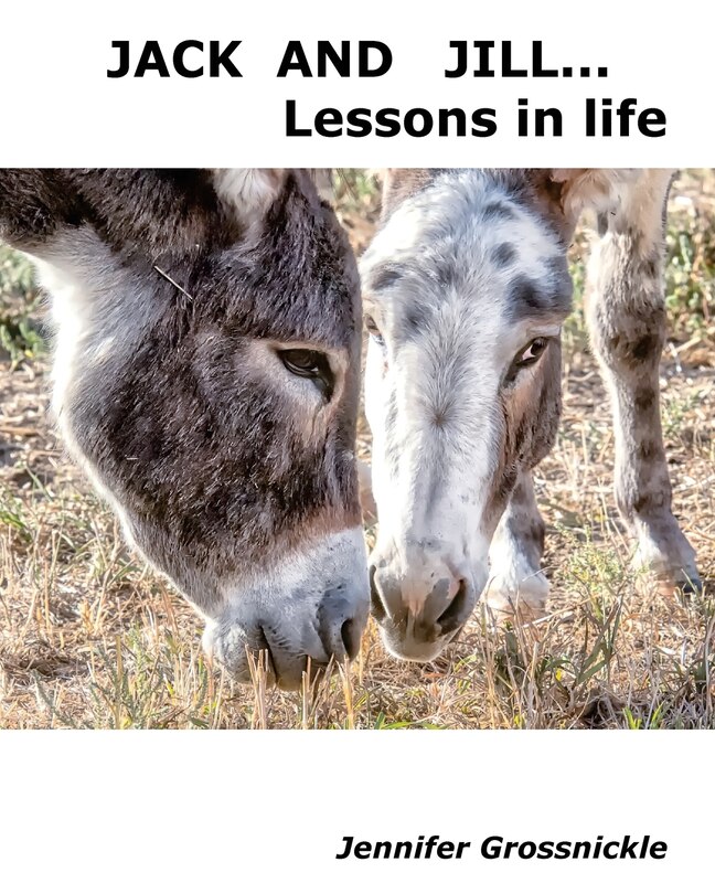 Couverture_Jack and Jill... Lessons In Life