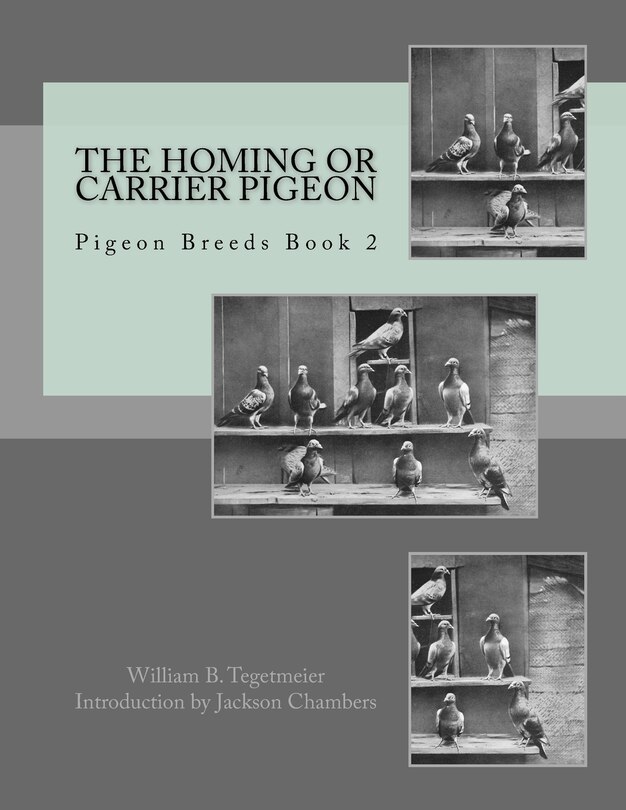 Couverture_The Homing or Carrier Pigeon
