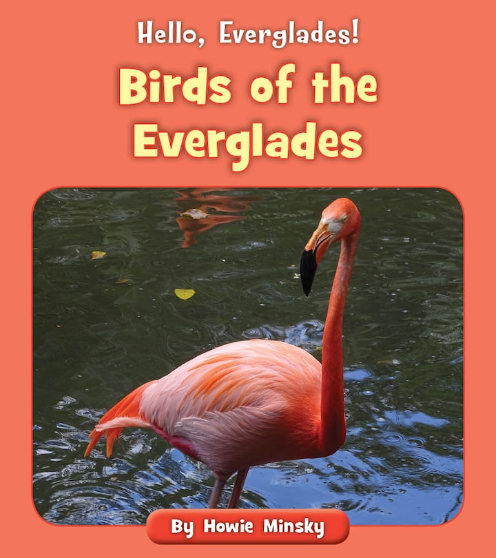 Front cover_Birds of the Everglades