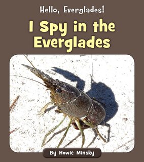 Couverture_I Spy in the Everglades
