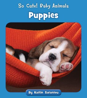 Front cover_Puppies