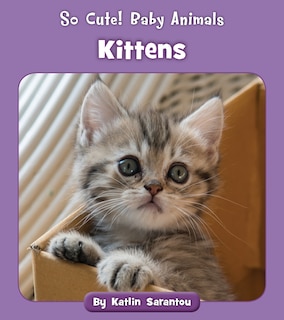 Front cover_Kittens