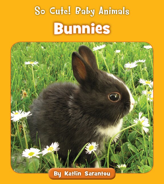Couverture_Bunnies