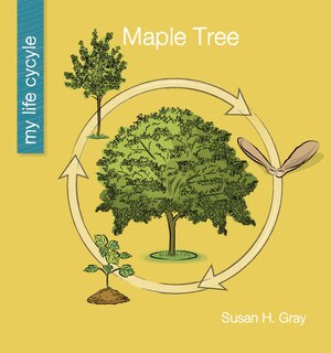 Front cover_Maple Tree