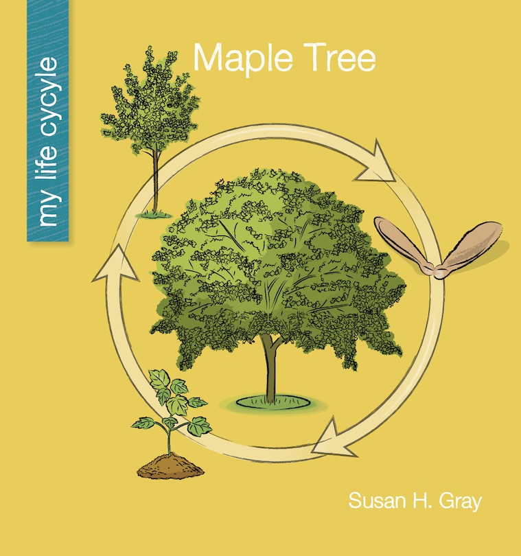 Front cover_Maple Tree