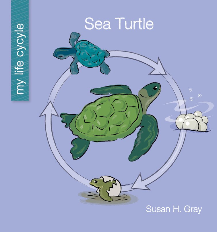 Front cover_Sea Turtle