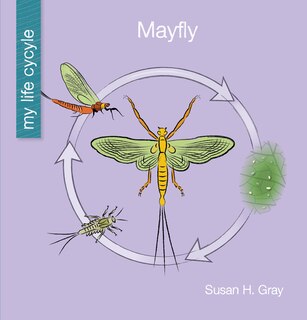 Front cover_Mayfly