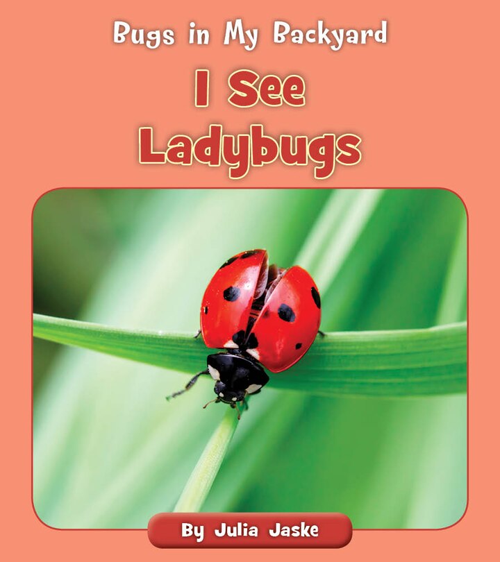 Front cover_I See Ladybugs