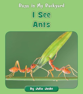 Front cover_I See Ants