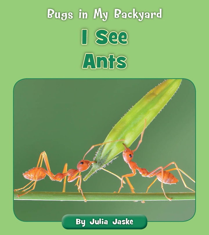 Front cover_I See Ants