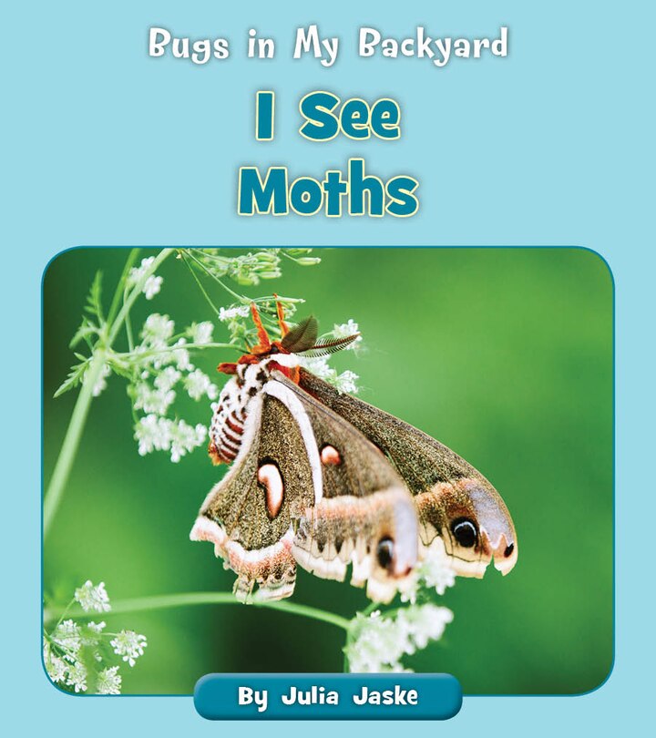 Front cover_I See Moths