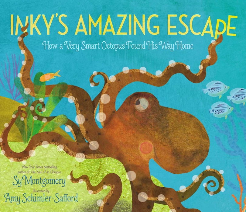 Inky's Amazing Escape: How a Very Smart Octopus Found His Way Home