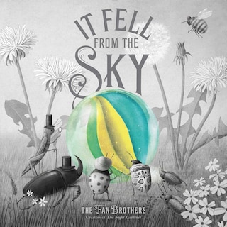 Front cover_It Fell from the Sky