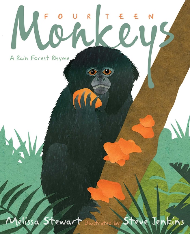 Front cover_Fourteen Monkeys