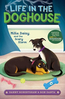 Couverture_Millie, Daisy, And The Scary Storm