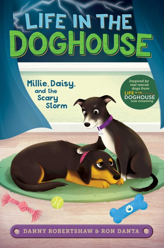 Couverture_Millie, Daisy, And The Scary Storm