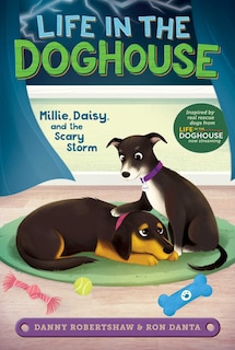 Couverture_Millie, Daisy, And The Scary Storm