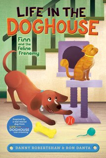 Front cover_Finn and the Feline Frenemy