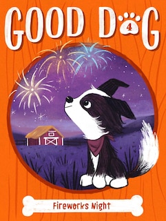 Couverture_Fireworks Night