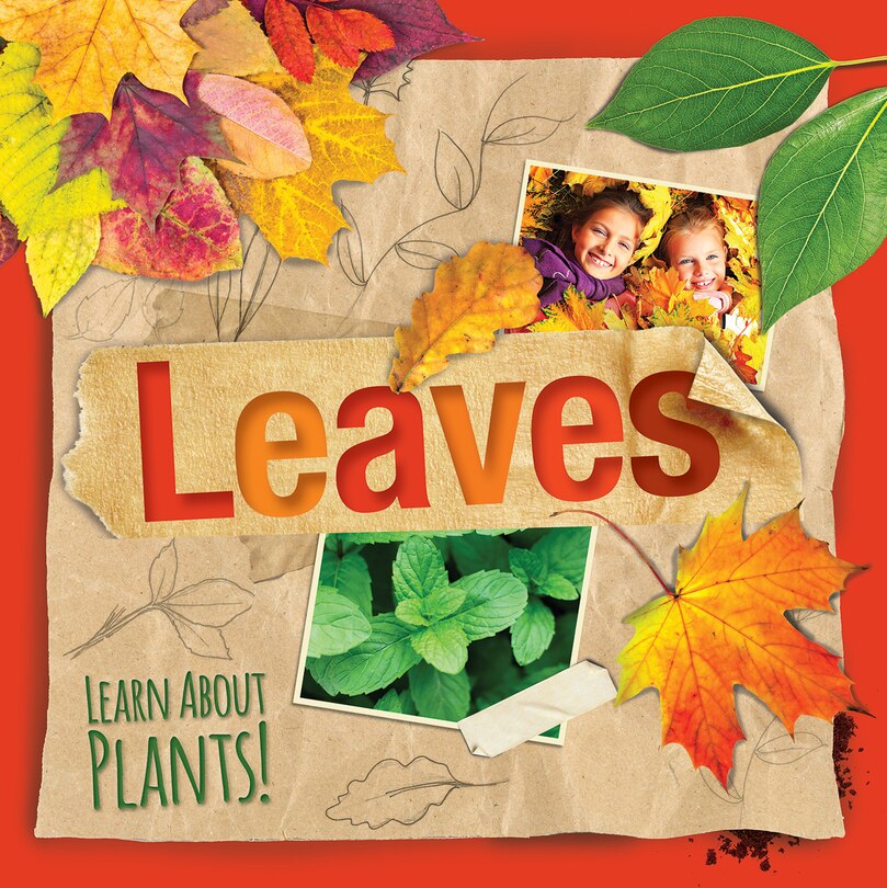 Couverture_Leaves