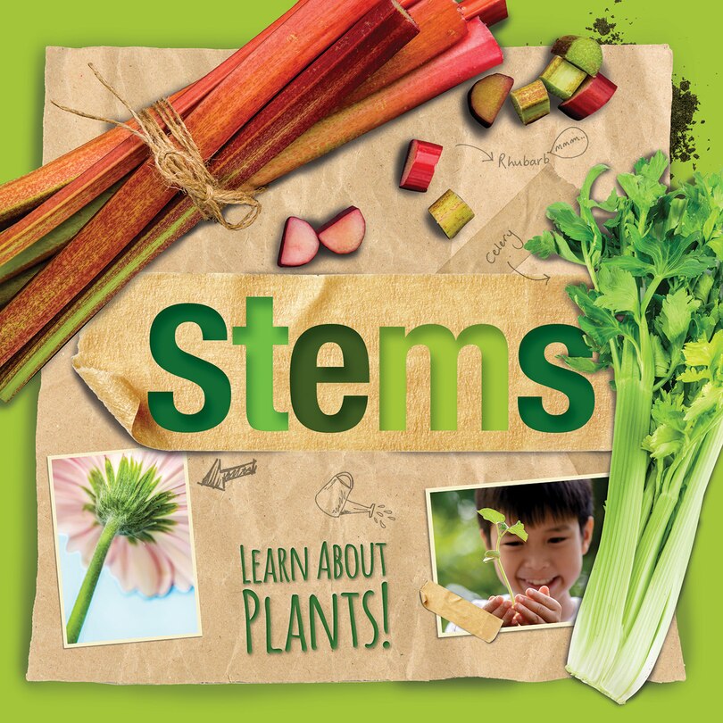 Front cover_Stems