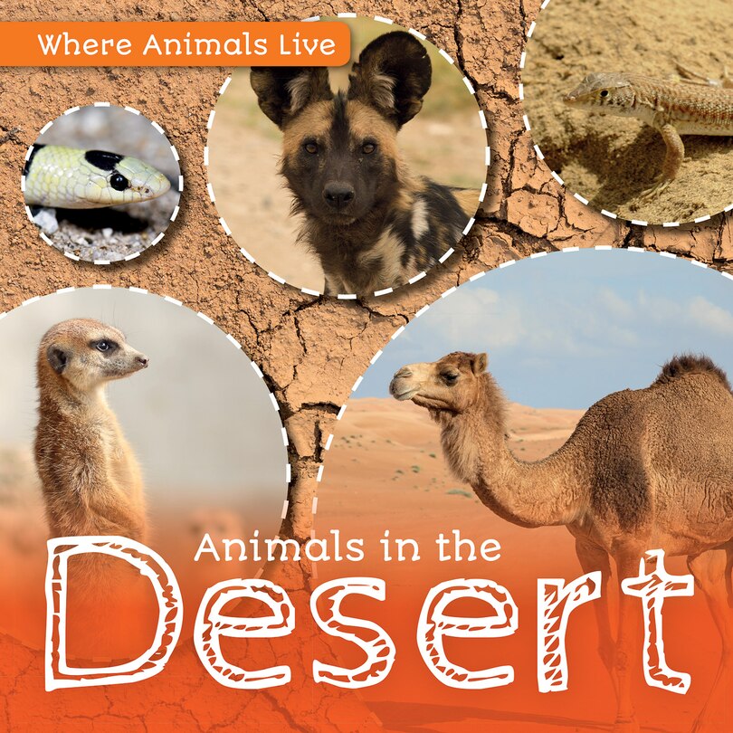 Couverture_Animals in the Desert