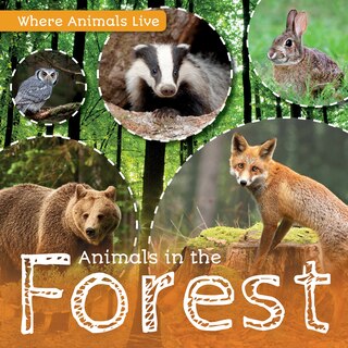 Couverture_Animals in the Forest