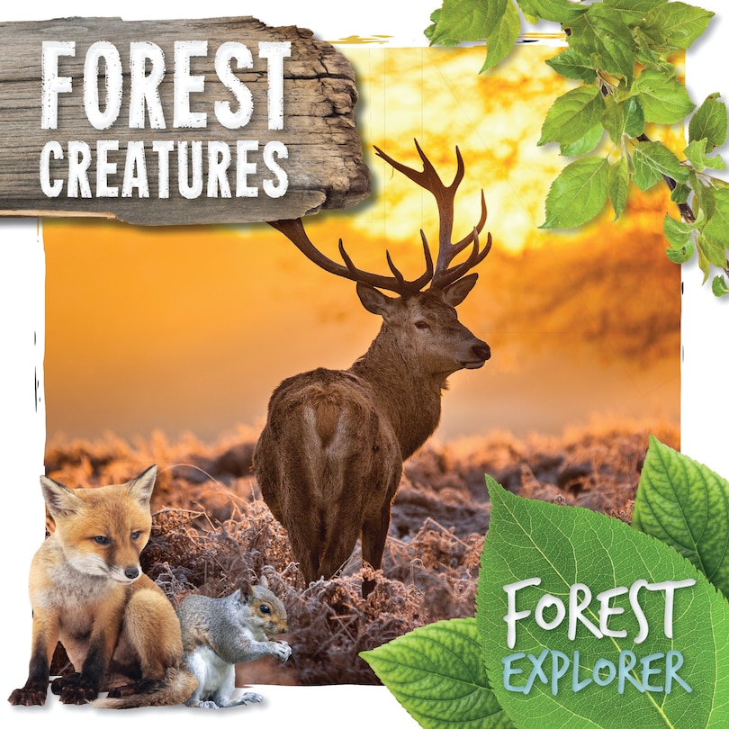 Couverture_Forest Creatures