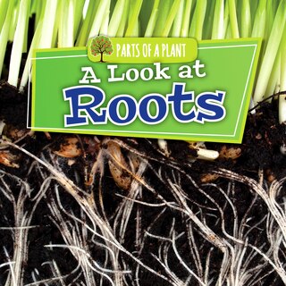 Couverture_A Look at Roots