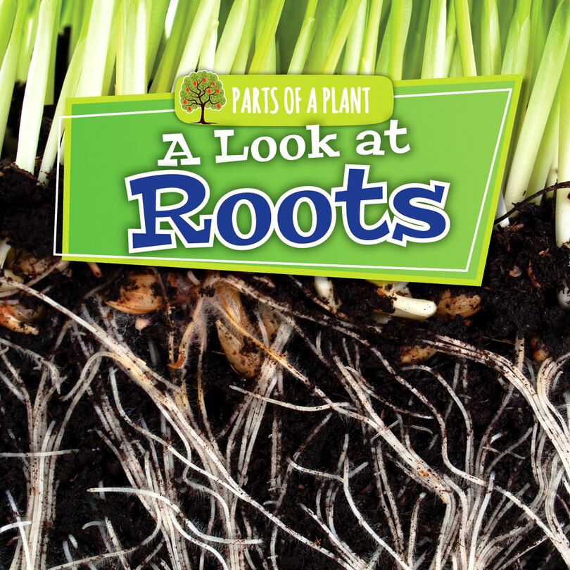 Couverture_A Look at Roots