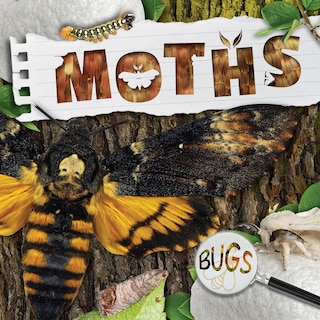 Couverture_Moths