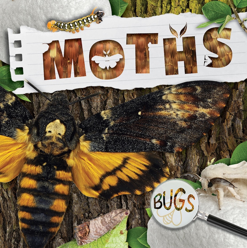 Couverture_Moths