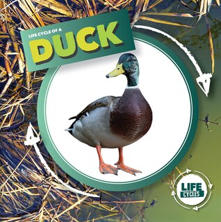 Couverture_Life Cycle of a Duck