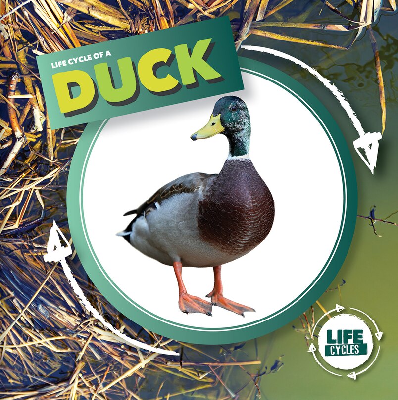 Couverture_Life Cycle of a Duck