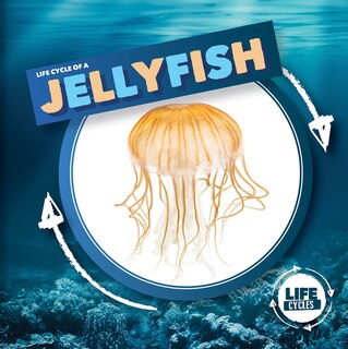 Front cover_Life Cycle of a Jellyfish