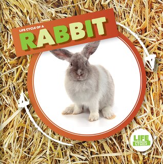 Couverture_Life Cycle of a Rabbit
