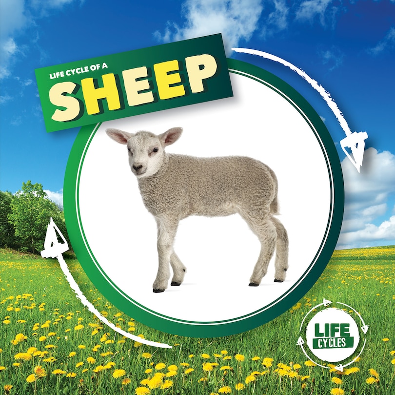 Couverture_Life Cycle of a Sheep