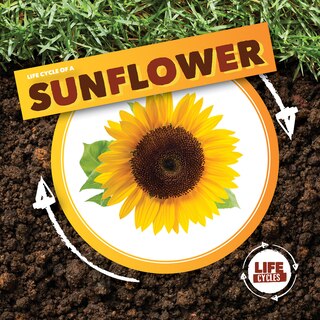 Front cover_Life Cycle of a Sunflower