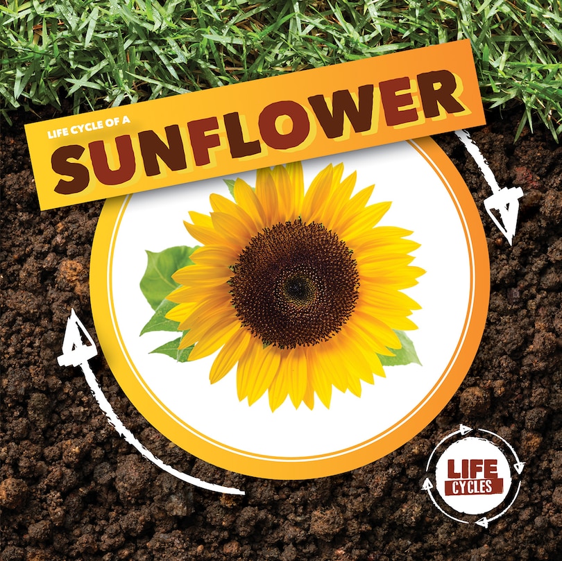 Front cover_Life Cycle of a Sunflower