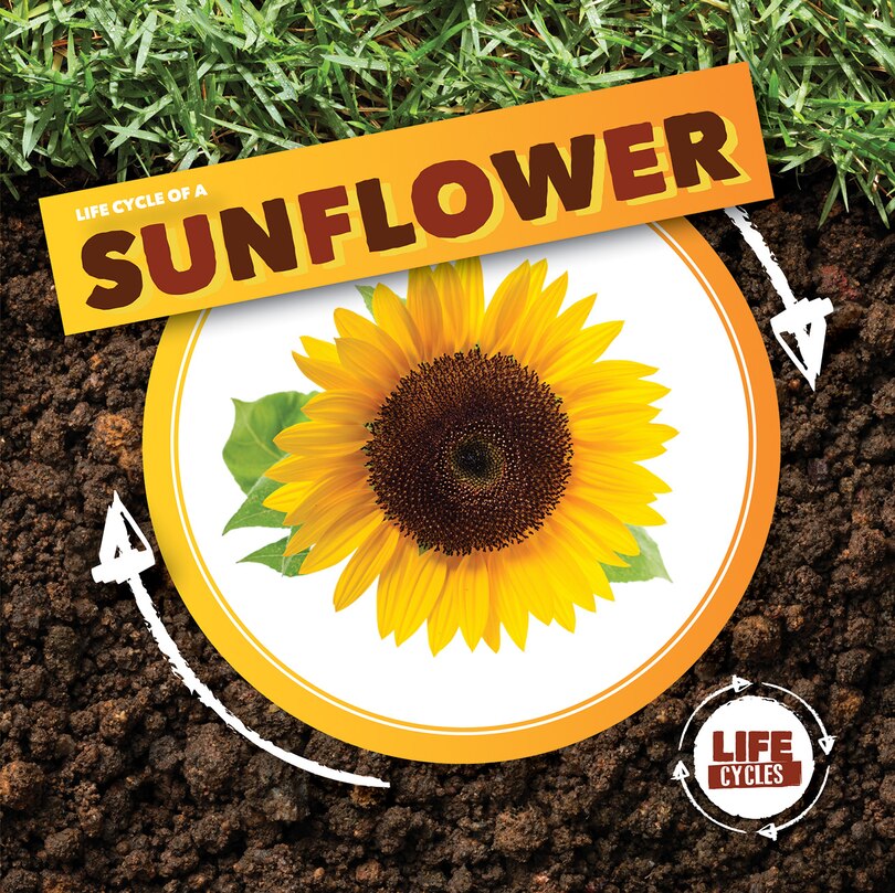 Front cover_Life Cycle of a Sunflower