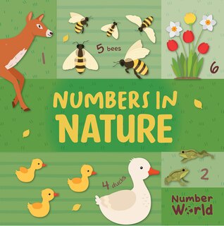 Front cover_Numbers in Nature
