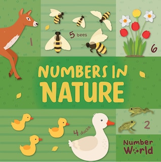 Front cover_Numbers in Nature