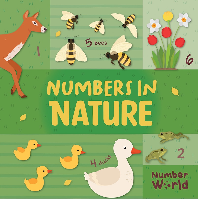 Front cover_Numbers in Nature
