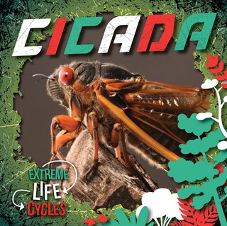 Front cover_Cicada