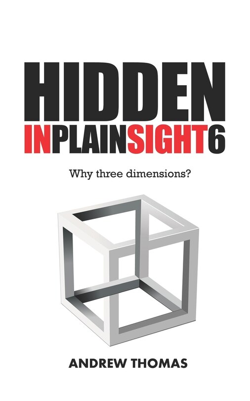Front cover_Hidden In Plain Sight 6